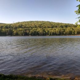 Willow Bay Recreation Area, just west of Bradford, offers lakeside camping, cozy cabins, hiking trails, and easy access to boating and fishing on the Allegheny Reservoir—perfect for a relaxing outdoor escape.
