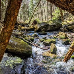 Just across the border in New York, this park features hiking trails, campgrounds, fishing, swimming, and breathtaking nature year-round. Great for a day trip or weekend getaway.