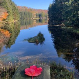 Marilla Reservoir, just outside Bradford, is perfect for year-round fishing—including ice fishing in winter—and features a scenic one-mile loop trail, plus several other peaceful hiking paths.