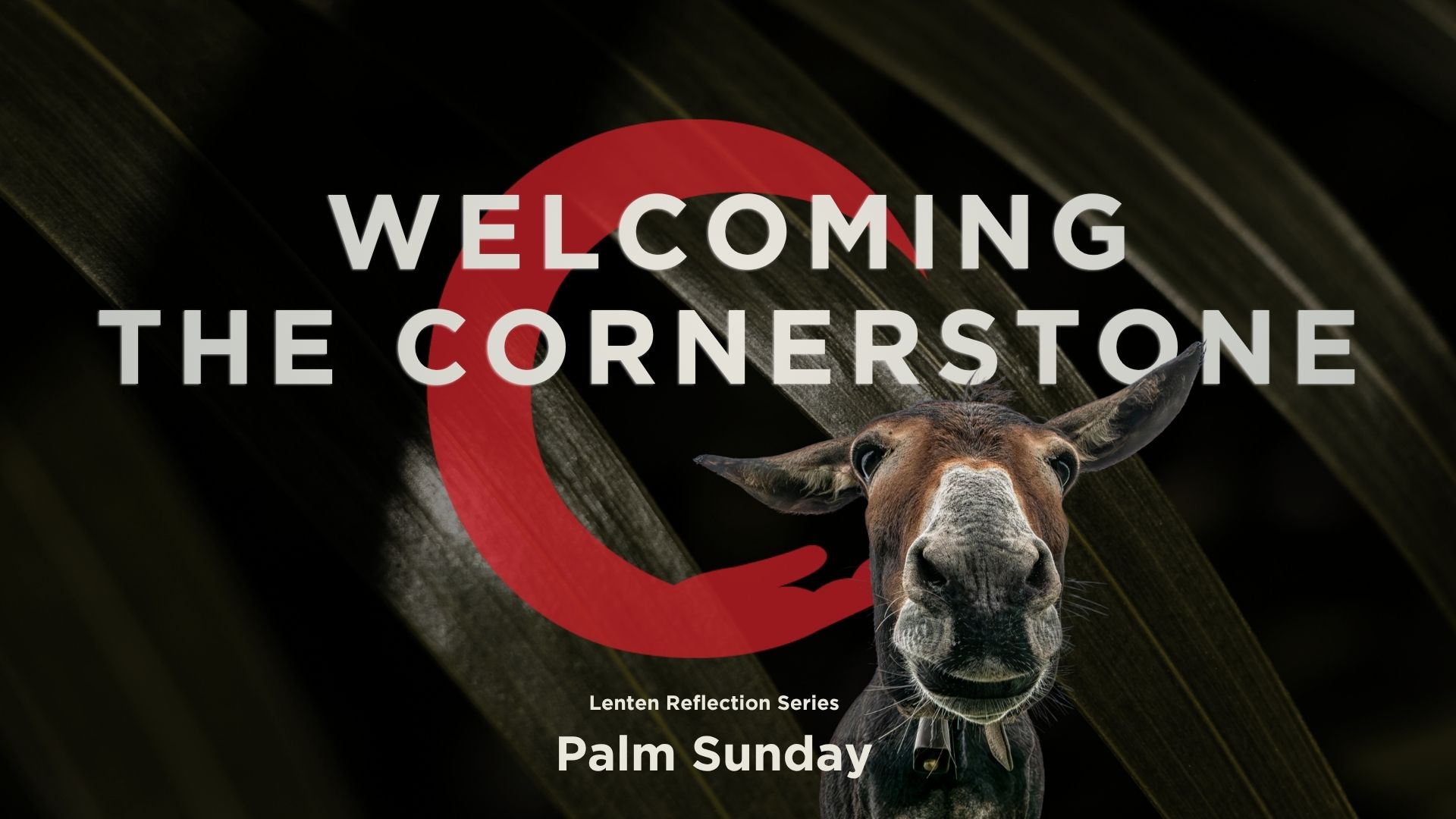 Palm Sunday - Open Arms Community Church in Bradford PA