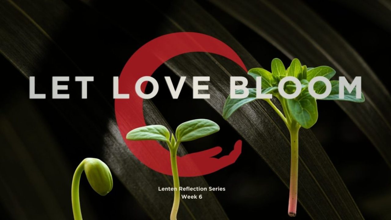 lenten blog reflection