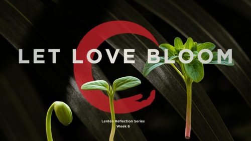 lenten blog reflection