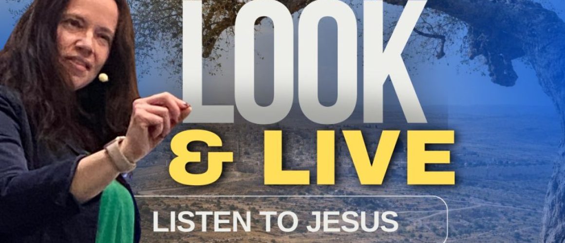 Listen to Jesus - sermon on John 3